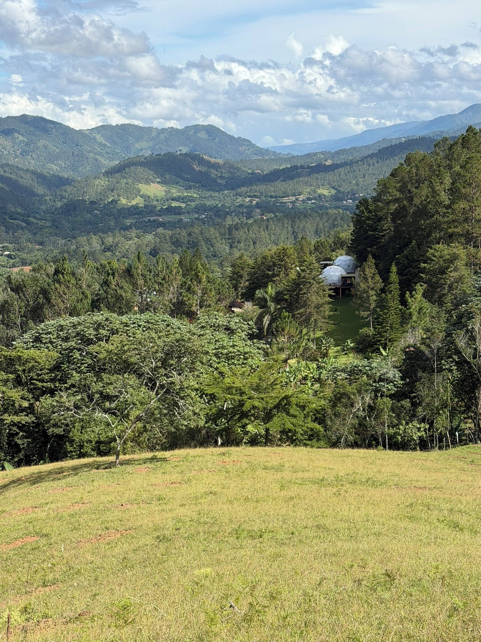 A lush green landscape with a small building nestled among trees.