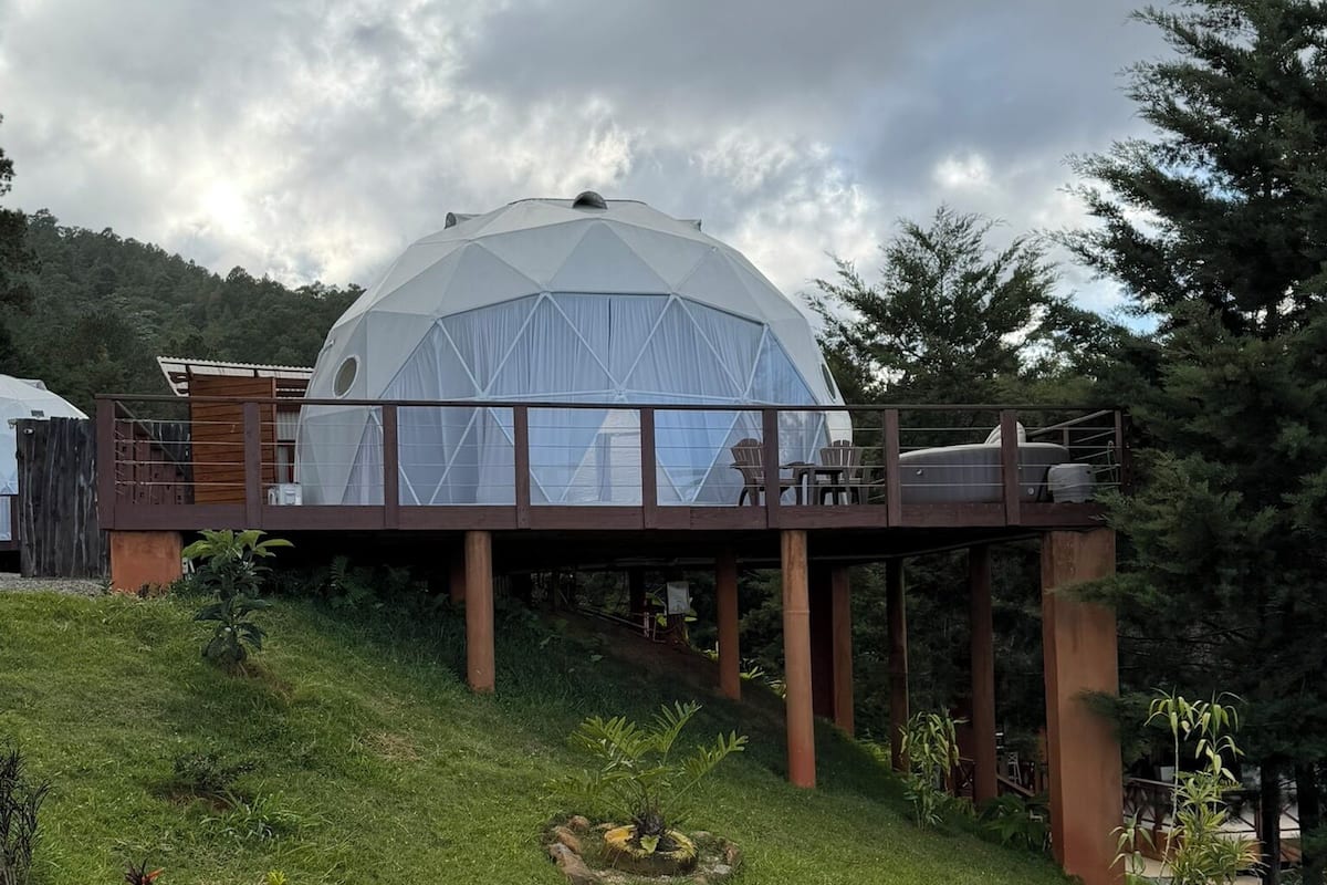 Una estructura en forma de cúpula con un balcón, rodeada de follaje y un borde de piedra.