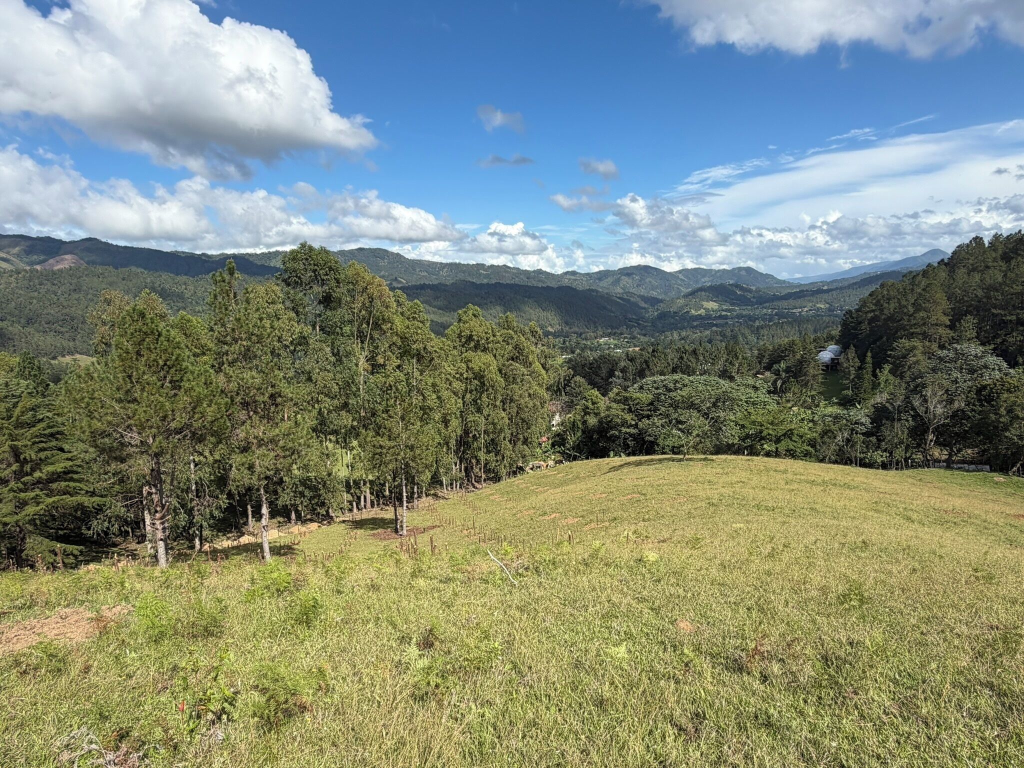 A grassy field with trees and distant mountains under a blue sky with clouds.