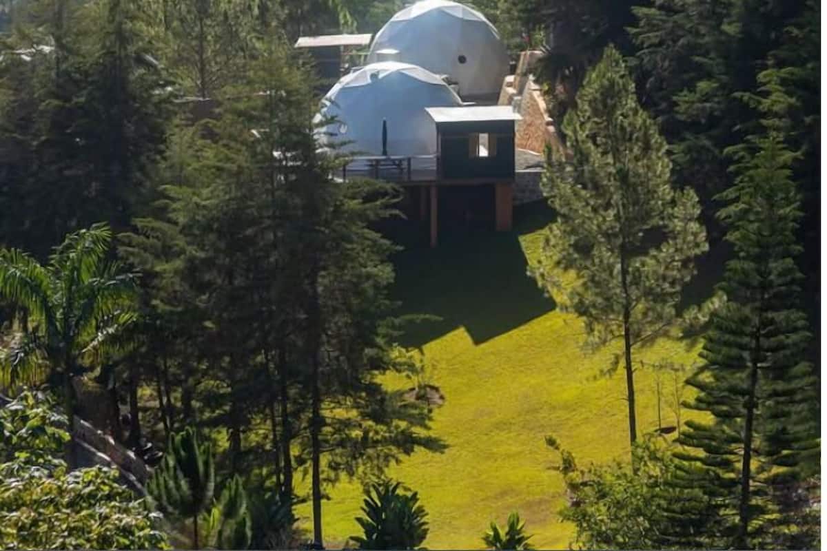 Un edificio de forma abovedada rodeado de árboles, con una vista despejada del paisaje circundante.