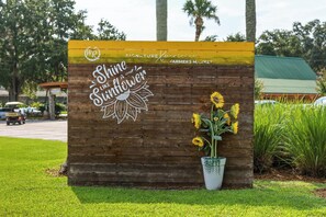Un panneau en bois portant l’inscription « Marché de producteurs – Expérience unique » et orné d’un tournesol.