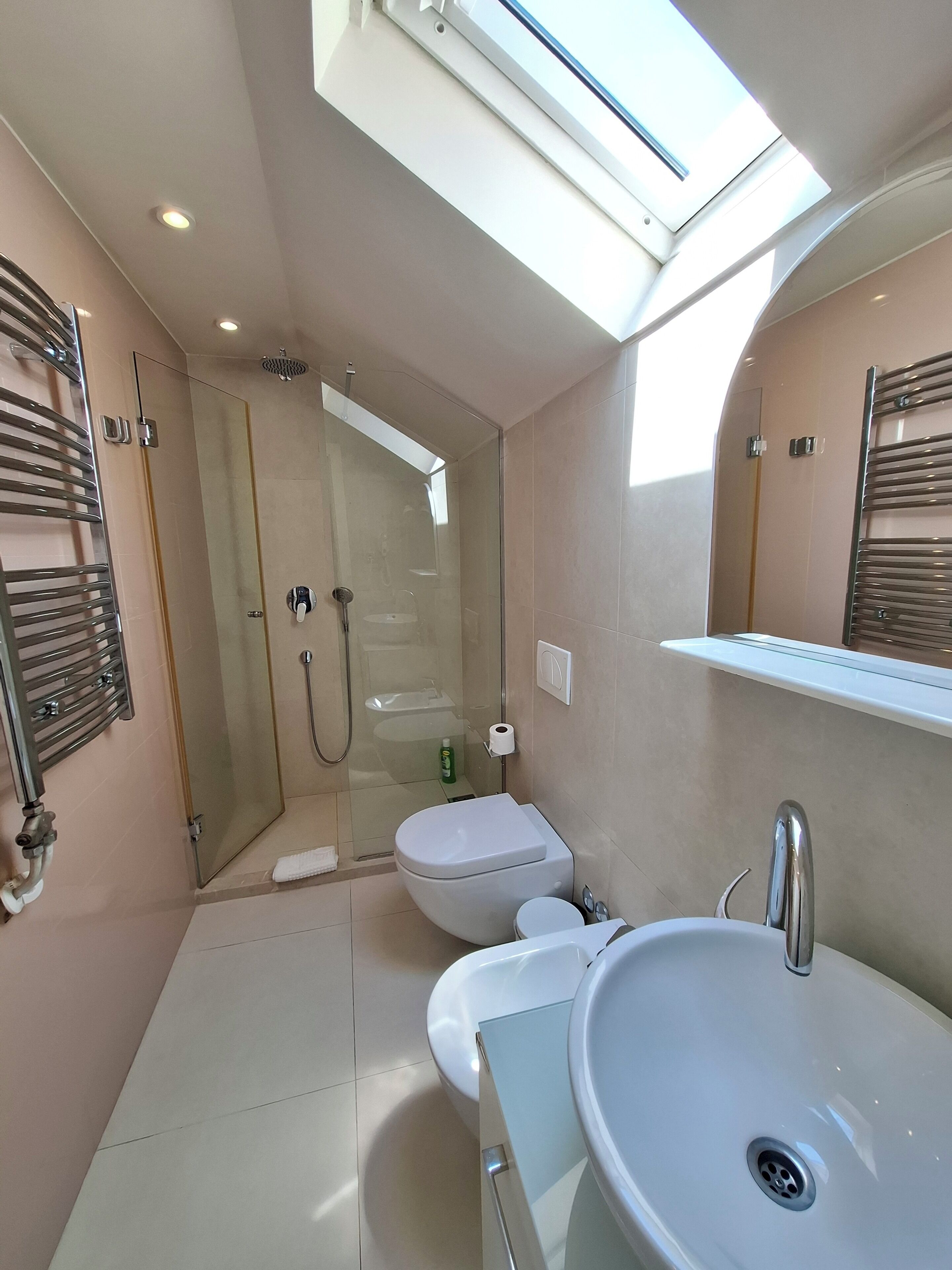A modern bathroom with a skylight, a glass shower enclosure, a toilet, a sink, and a towel rack.