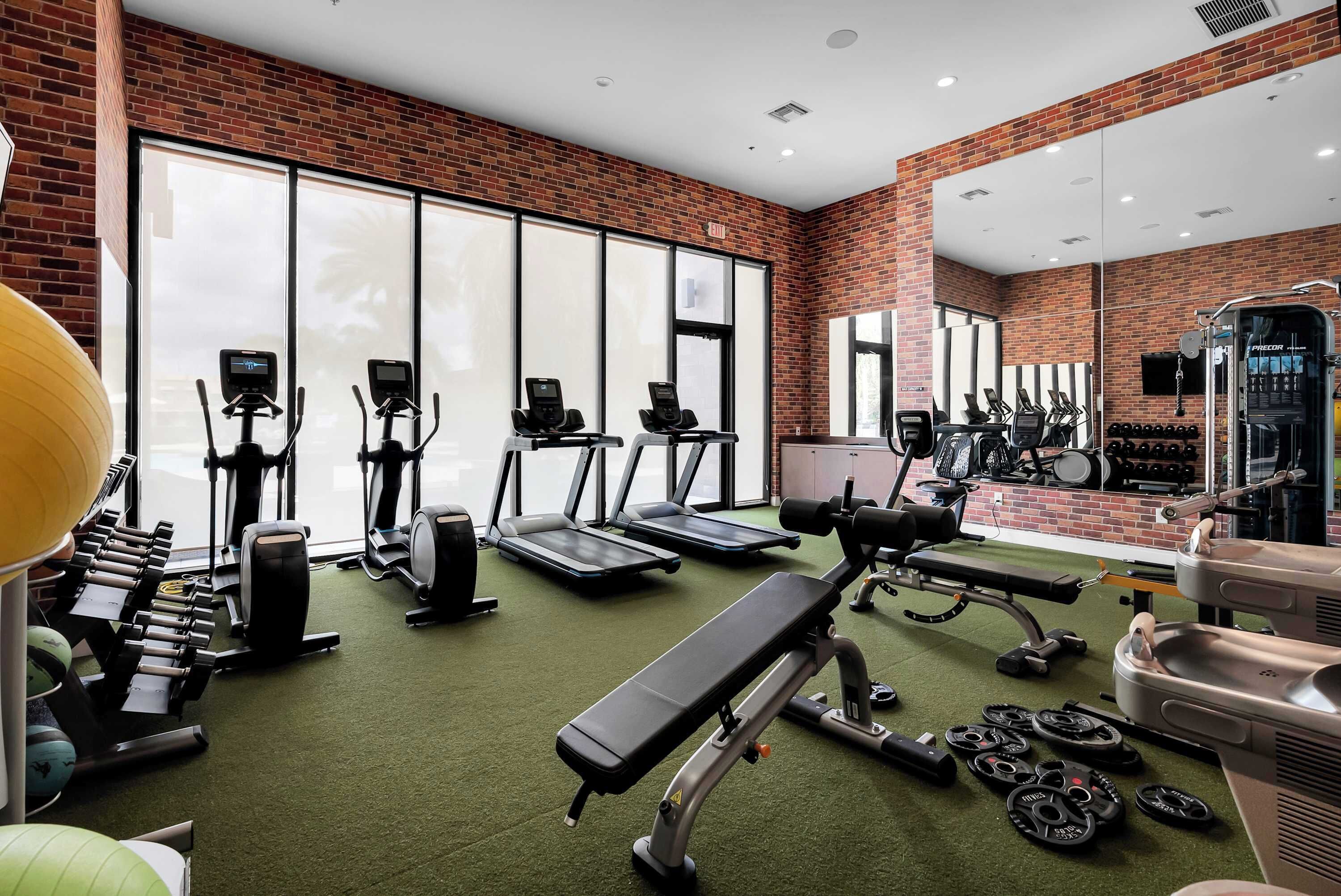 A gym with treadmills, elliptical machines, free weights, and a bench press.