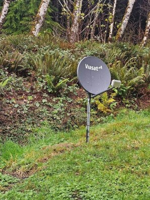 Property grounds - Forest Cabin Near Sekiu Fish & Hunt Basecamp (Clallam County)