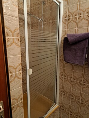Shower, toilet paper - Cozy two-room apartment ground floor barrier-free access with terrace (Ludwigswinkel)
