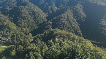 Overig