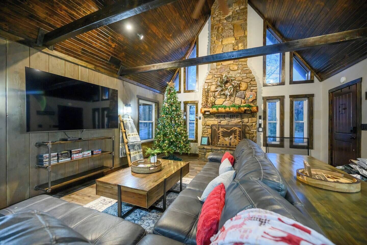 TV, peis, videospill og DVD-spiller