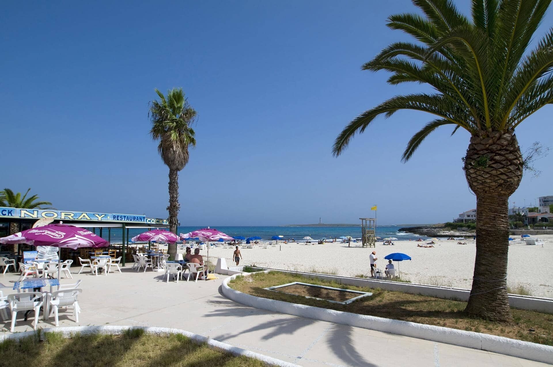 Un restaurant situé en bord de mer, avec une terrasse et des palmiers.