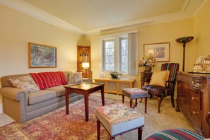 TV, fireplace, books