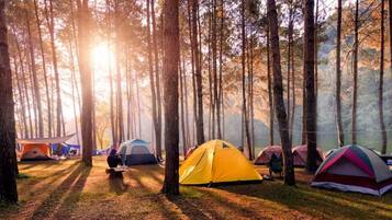 Terrein van de accommodatie