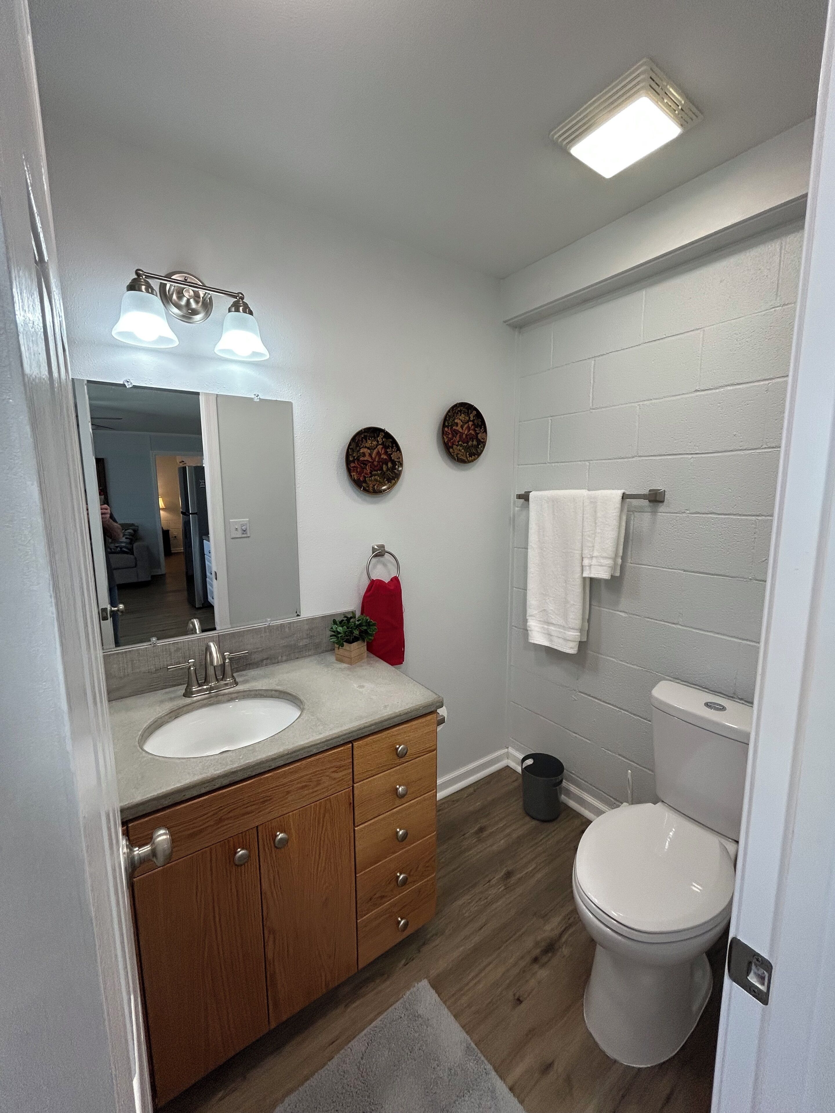 Secadora de cabello, toallas, jabón, papel de baño 