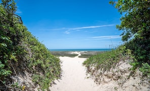 Un sendero arenoso que lleva a una playa, bordeado por una densa vegetación.