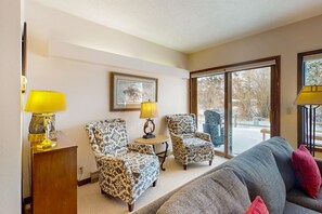 TV, fireplace, books