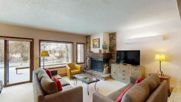 TV, fireplace, books