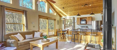 TV, fireplace, books
