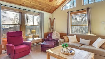 Una televisión, una chimenea, libros