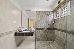 Shower, hair dryer, bidet, towels