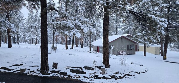 Unclassified image, 1 of 32, button - Charming 1-bedroom cottage perfect for a relaxing Durango getaway (Durango)