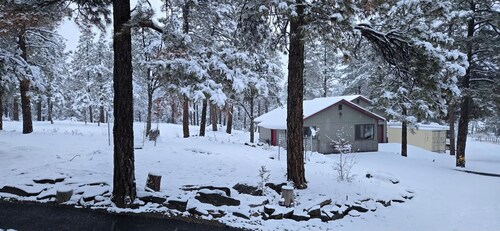 Charming 1-bedroom cottage perfect for a relaxing Durango getaway