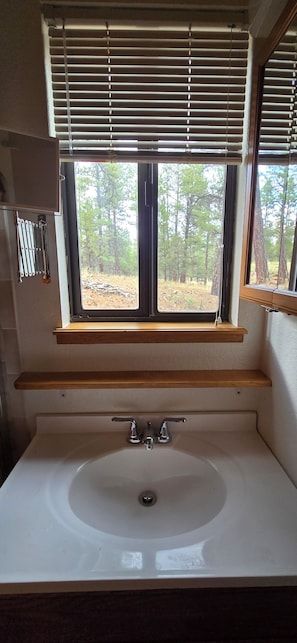 A bathroom with a white sink, wooden shelves, and a window with blinds overlooking a forested area. - Charming 1-bedroom cottage perfect for a relaxing Durango getaway (Durango)