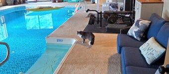 Charming 1-bedroom cottage perfect for a relaxing Durango getaway