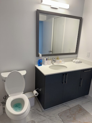 Hair dryer, towels, soap, toilet paper - Cozy 1-bedroom apartment with AC in welcoming Miami (Miami)