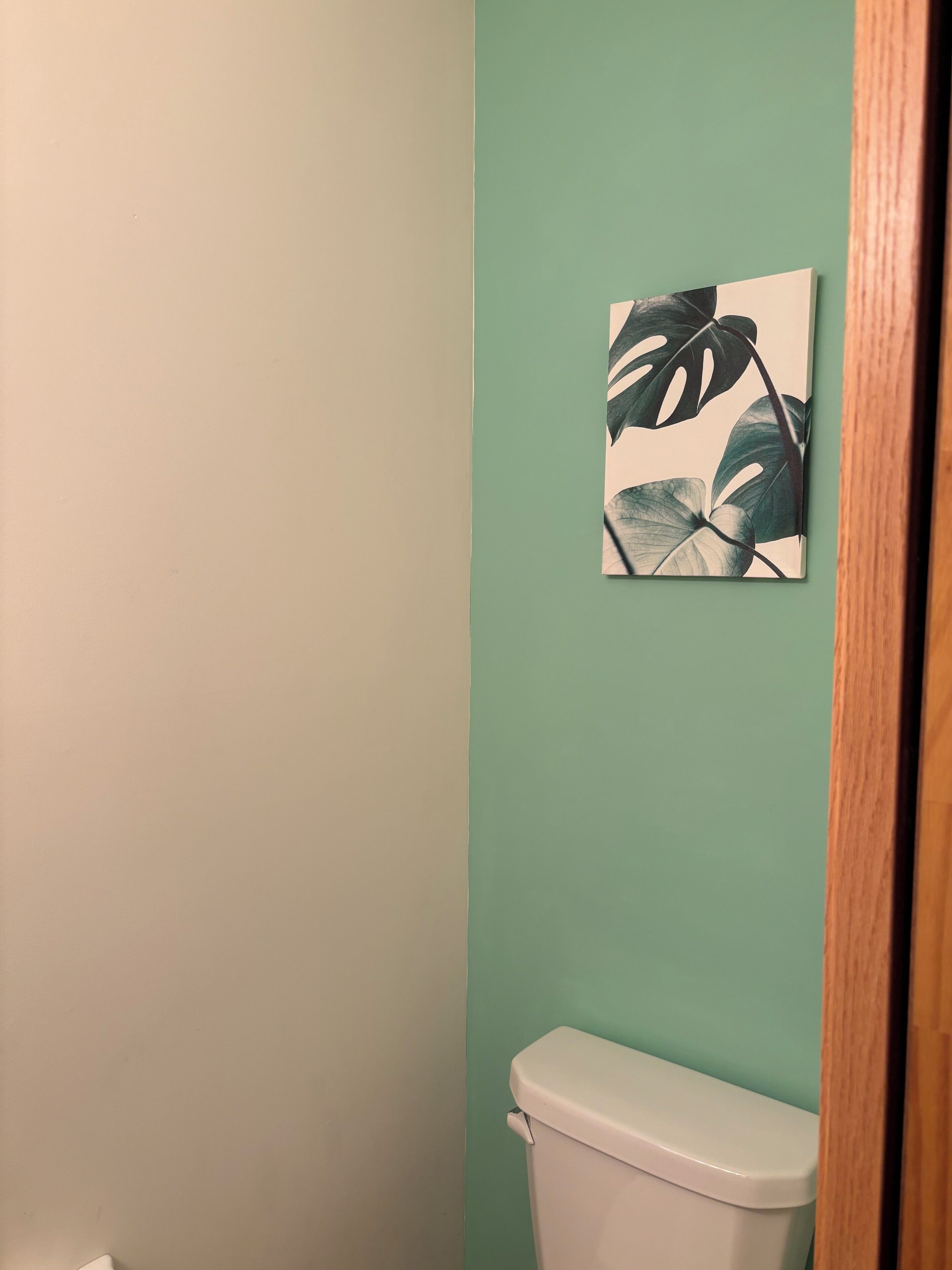 Hiustenkuivaaja, pyyhkeet, saippua, vessapaperi