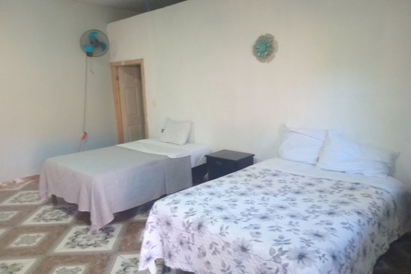 Kamar Triple Basic, pemandangan kebun | Setrika/meja setrika dan Wi-Fi gratis