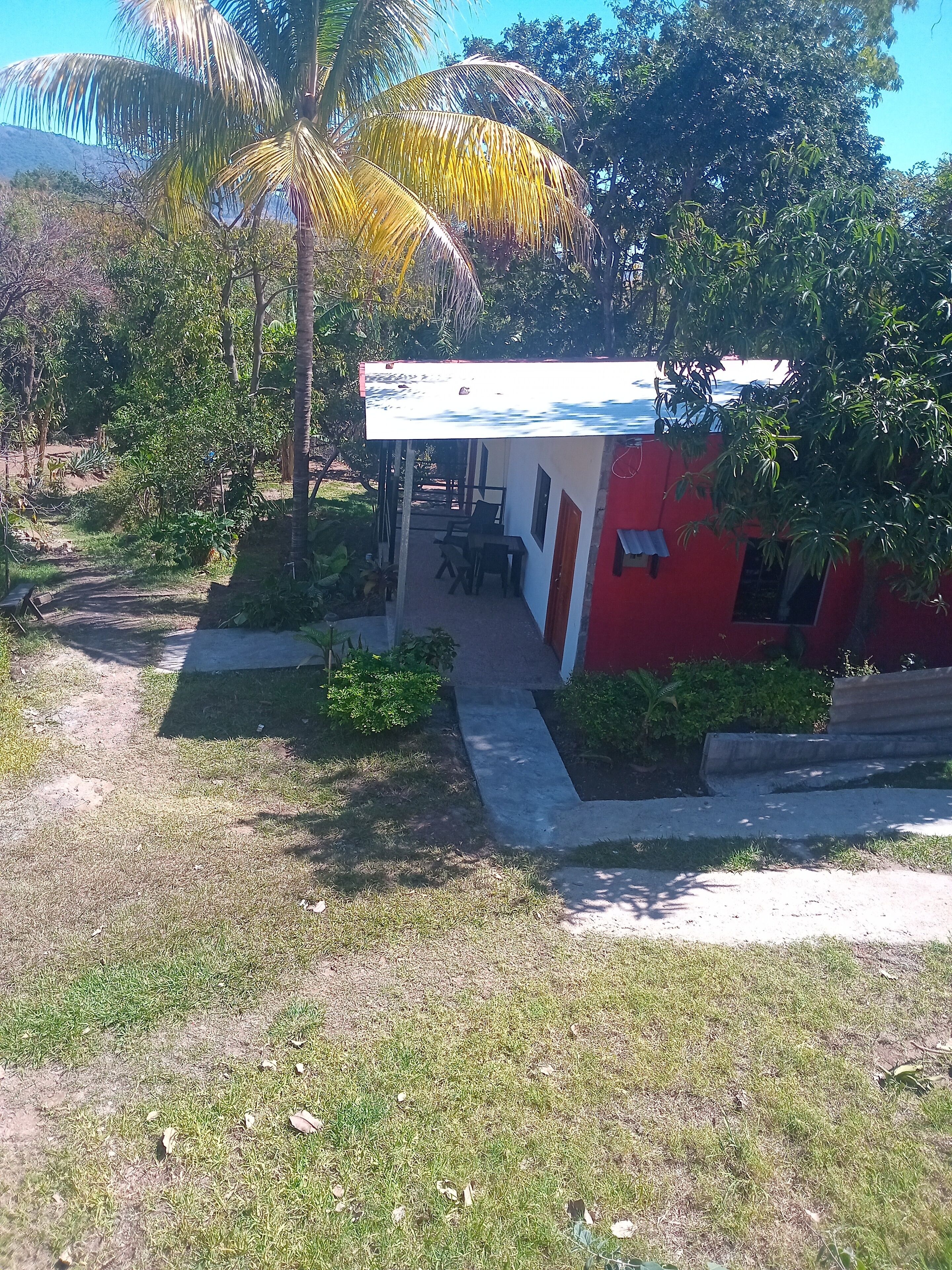 Comfort Twin Room, Garden View | Exterior