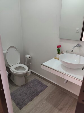 Hair dryer, towels, soap, toilet paper - LUXURY COZY HOME PBD51 (San Miguel)