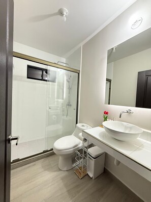 Hair dryer, towels, soap, toilet paper - LUXURY COZY HOME PBD51 (San Miguel)