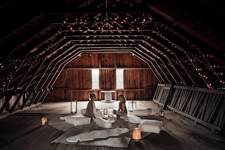 Banquet hall. Cozy and beautiful farm with horses and other animals. Welcome to a bubble!