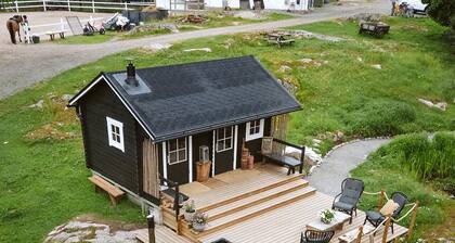 Cozy and beautiful farm with horses and other animals. Welcome to a bubble!