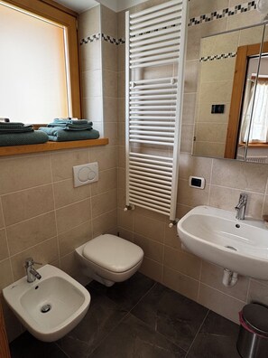 Een douche, een haardroger, een bidet, handdoeken