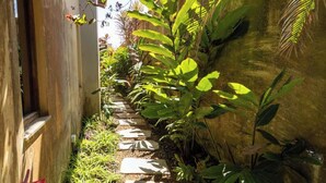 Un estrecho sendero de jardín con piedras, rodeado de exuberante vegetación y un muro de piedra.