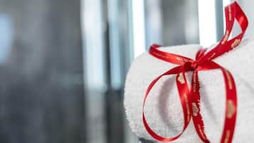 Schreibtisch, schallisolierte Zimmer, Bügeleisen/Bügelbrett