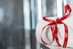 Desk, soundproofing, iron/ironing board, free WiFi