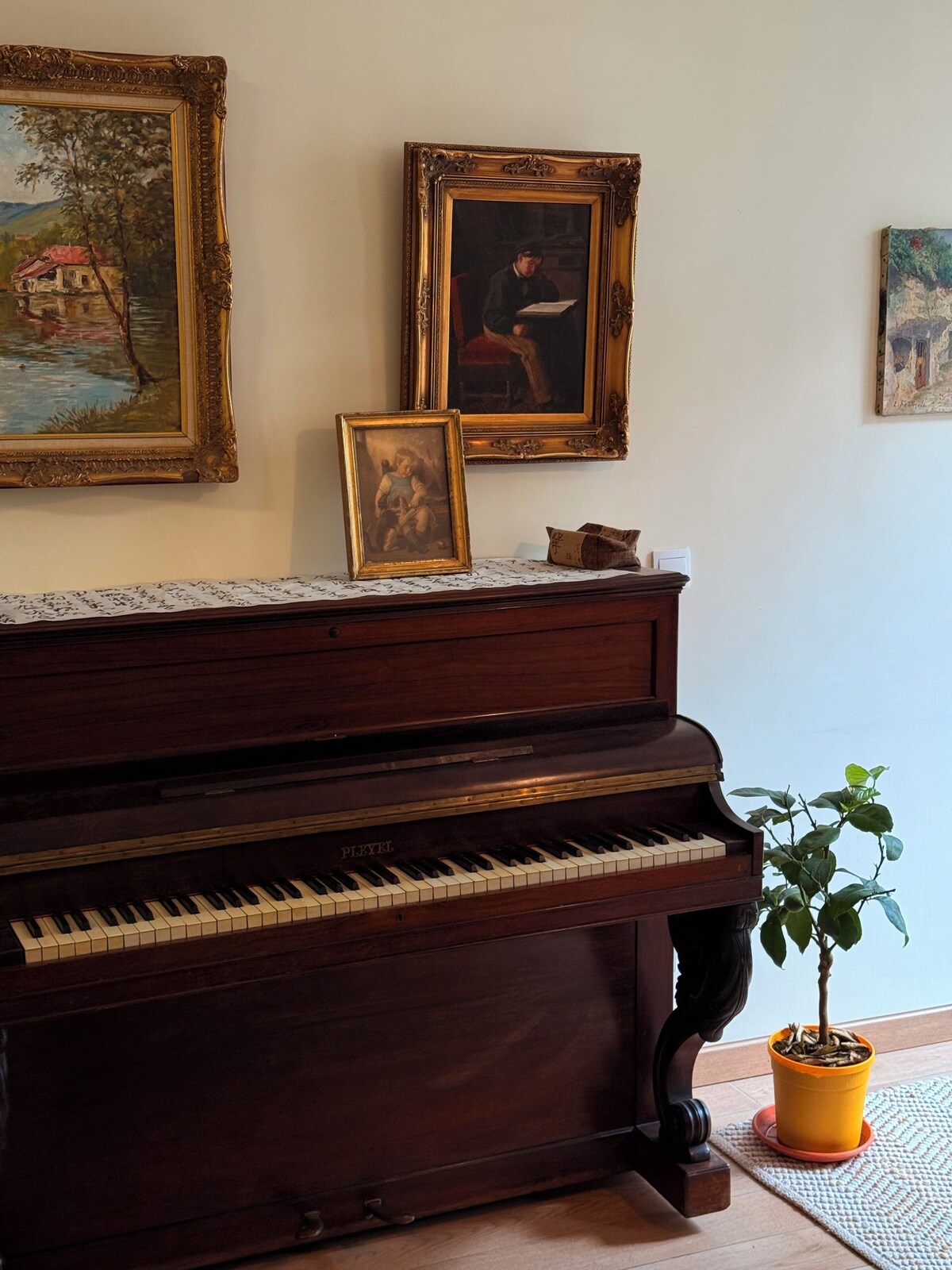 Bild für Gastgeberprofil