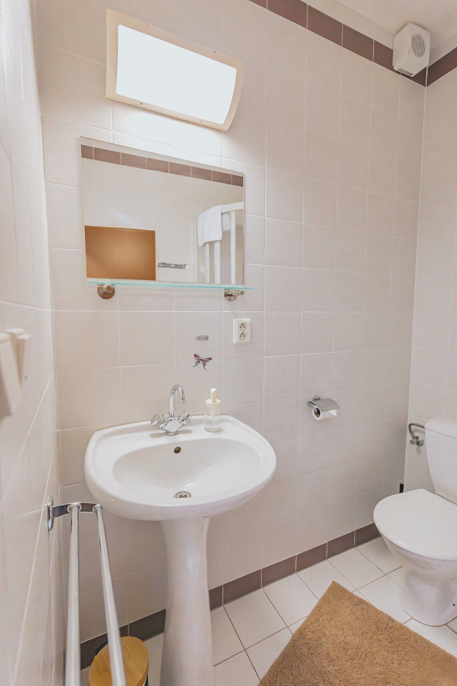 A bathroom with a pedestal sink, a toilet, a glass shelf above the sink, and a mirror.