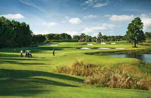 Golf - Cozy studio at Barefoot Resort and Golf (North Myrtle Beach)