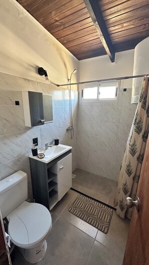 Shower, bidet, toilet paper