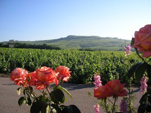 Le Gîte de Bacchus - JULIENAS