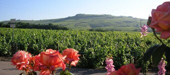 Le Gîte de Bacchus - JULIENAS