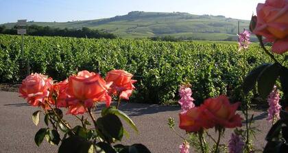 Le Gîte de Bacchus - JULIENAS