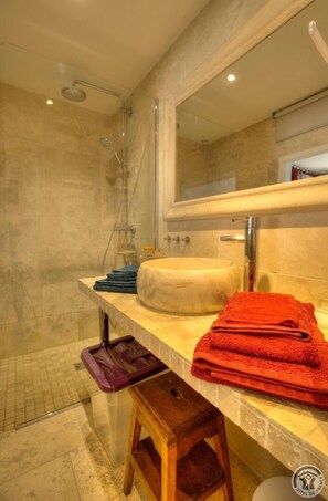 Shower - Les Charmes de Saône - LYON 9E ARRONDISSEMENT (LYON 9E ARRONDISSEMENT)