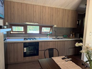 Fridge, microwave, oven, stovetop - Beautiful house in Pucon for 6 people (Pucon)
