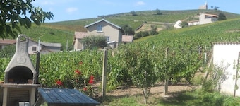 La Madonette - FLEURIE