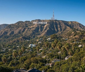 A hilltop view of Hollywood with the Hollywood sign, residential houses, and palm trees. - Rooftop Pool & Iconic Views | Chic Hollywood Apt (Los Angeles)