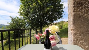Property grounds - Gîte de Haute Combe - JULIENAS (JULIENAS)