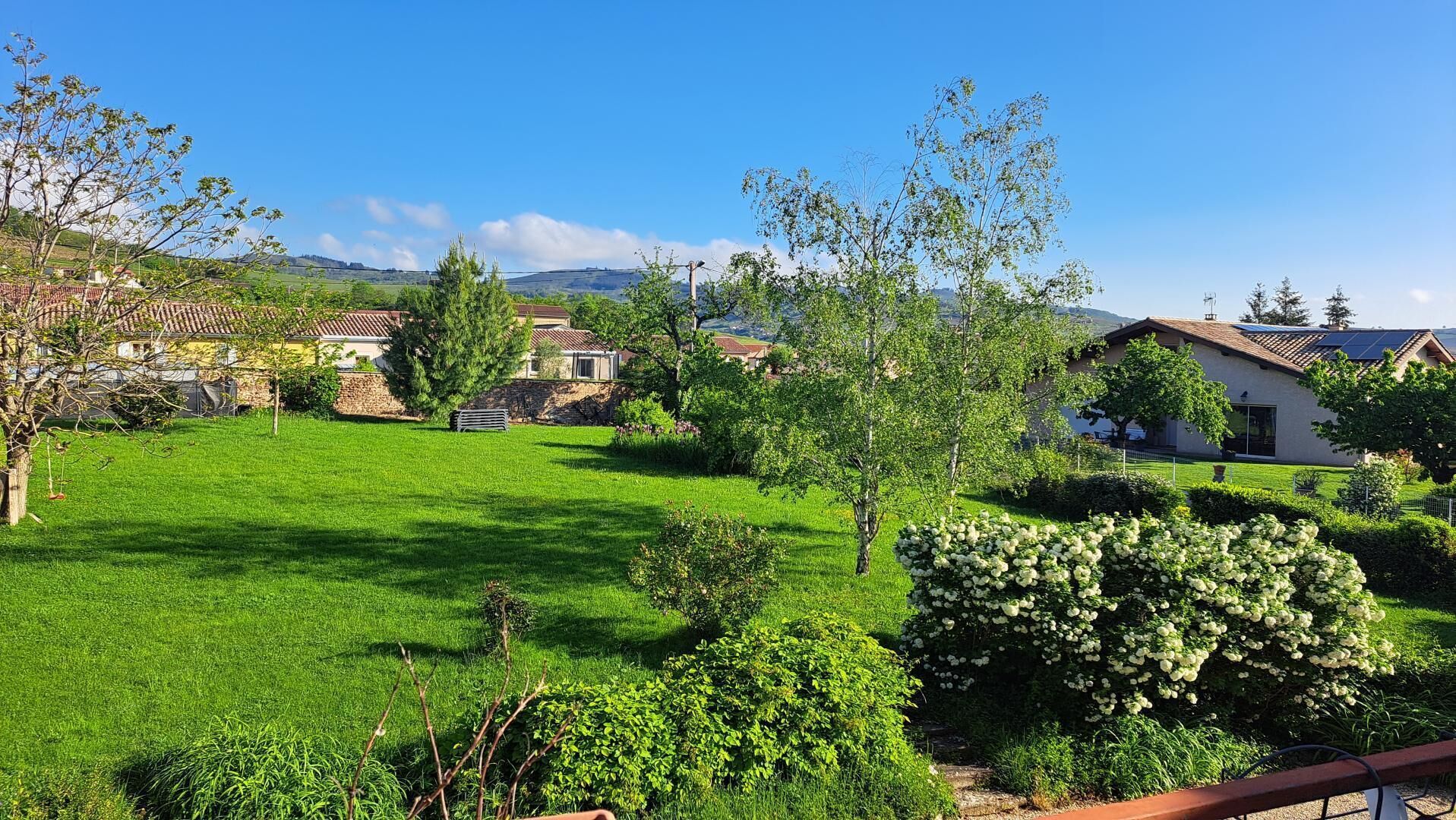 Ländliche Landschaft mit Häusern, einem Wiesenfeld und Bäumen.